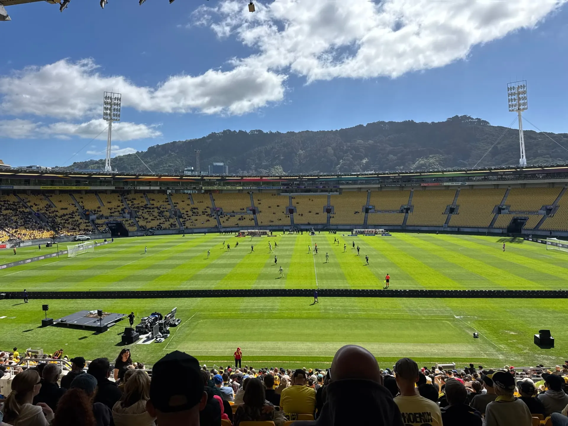 Sunlit football match at a packed Wellington stadium, fans in the yellow seats
